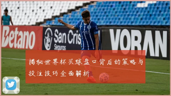 揭秘世界杯买球盘口背后的策略与投注技巧全面解析