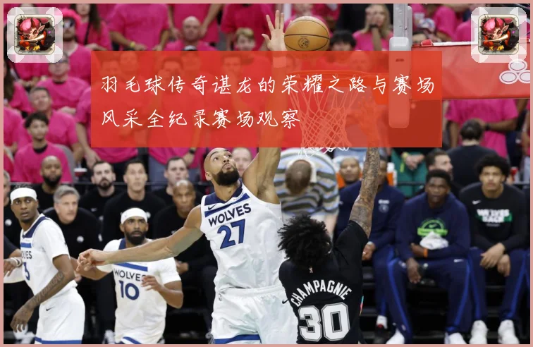 羽毛球传奇谌龙的荣耀之路与赛场风采全纪录赛场观察
