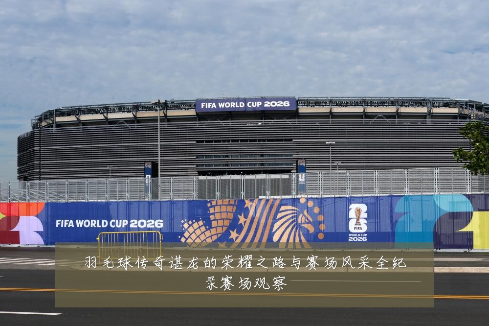 羽毛球传奇谌龙的荣耀之路与赛场风采全纪录赛场观察